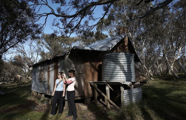 Mystic View Cottage Wandiligong - Foto 28