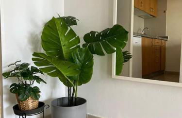 Apartamentos Atlantic Garden Beach Mate - Photo 54