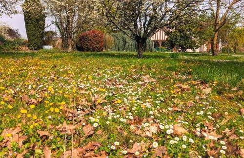 Gîte Le Grand Albizia - Foto 25