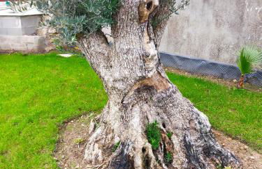 CASINHA DO RIO - Foto 26