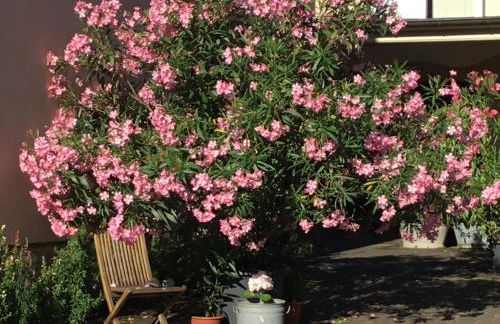 Ferienwohnungen In de goldisch Luft - Foto 12