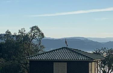 POUSADA FAZENDA PAIM - Foto 30