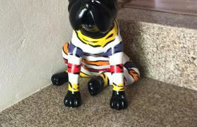 Villa Garcia - Foto 33