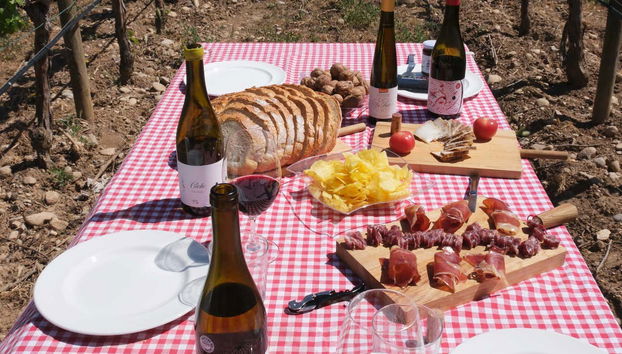 Tour in Algerri - Photo 5