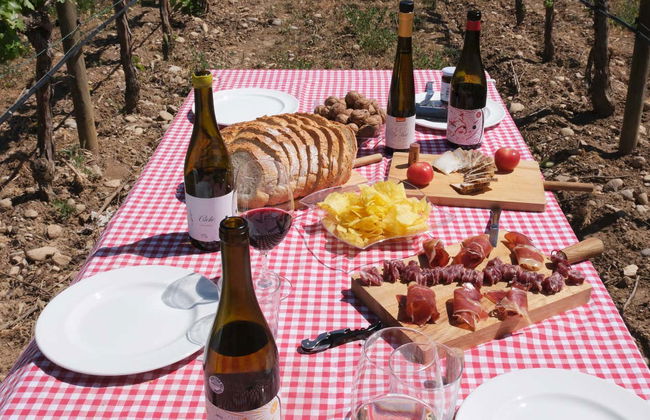 Tour in Algerri - Photo 5