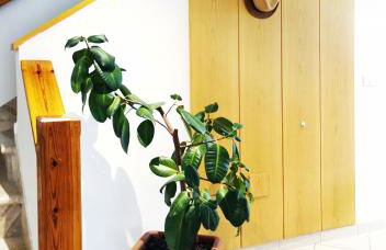 Casa Rustica con giardino - Foto 36