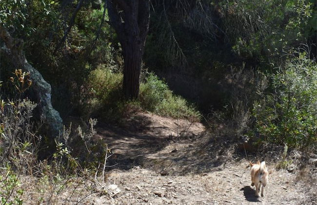 Monte Sardinha - Foto 68