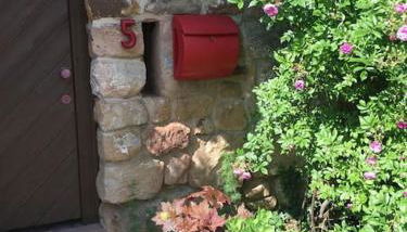 Traumblick Rebenmeer - Foto 4