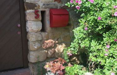 Traumblick Rebenmeer - Foto 4