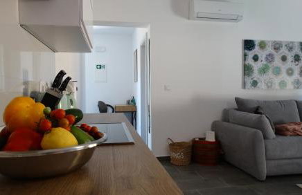 Papillon i Dolce Vita - Foto 18