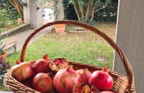 Apartament Cedro del Libano - Photo 7