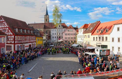 Neu - Wenkheimer Hof Scheunen-Loft - Foto 3