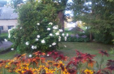 Agroturystyka u Basi śniadanie wliczone w cenie - Foto 36