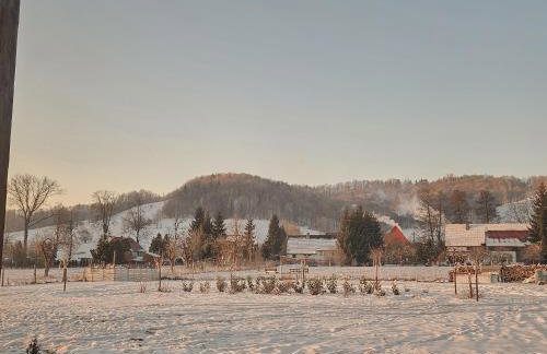 Lawendowy Raj - Foto 67