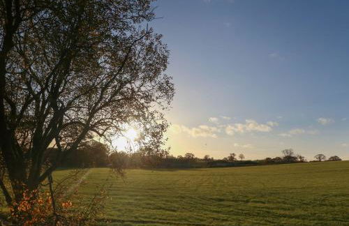 Box Tree Escapes - Foto 15