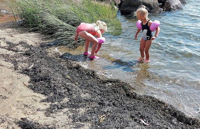 4 Star Holiday Home in Skjeberg - Foto 16