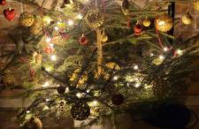 Domek na Pagórku - Foto 64