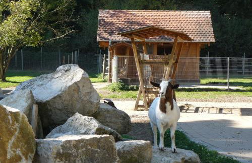 Ferienwohnung Vogelsang - Photo 16