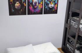 Apartamento Top Expo Center Norte Paulista Centro - Foto 32