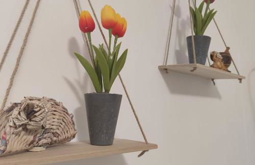 Alla Marina da Pina - Foto 35