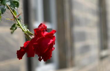 Wohnen in ehemaligen Kloster - Foto 21