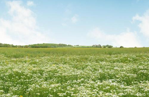The Groom's Quarters - Uk39053 - Foto 35