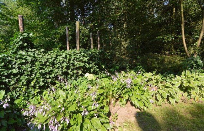 Apartment in Gelderland Near Nature Trails - Photo 34