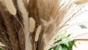 Gîte en Sologne - La Deniserie - 94m2 avec Garage - Photo 4