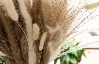 Gîte en Sologne - La Deniserie - 94m2 avec Garage - Foto 4