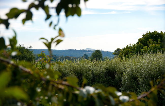 Daylesford House Studio - Photo 10