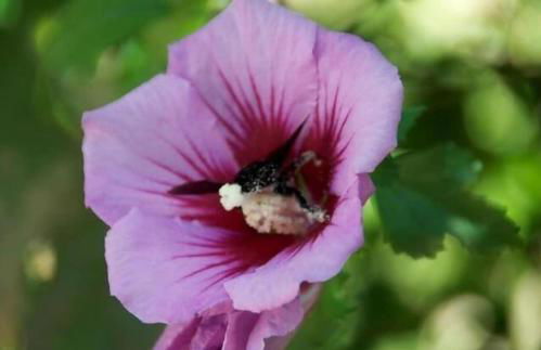 Molino del Caracol - Photo 52