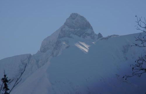 Landhaus am Plattenbichl - Luxus Apartment mit Pool und Sauna - im Sommer Bergbahn inklusive - Photo 25