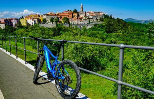 Wellness House Oliva with heated salt water Pool, Sauna & Jakuzzi - Foto 68