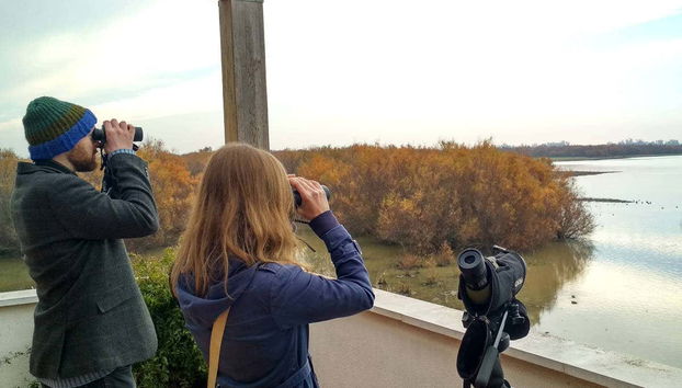 Doñana Day Trip - Foto 2