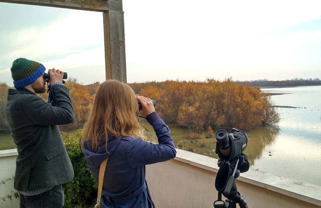 Doñana Day Trip - Foto 1