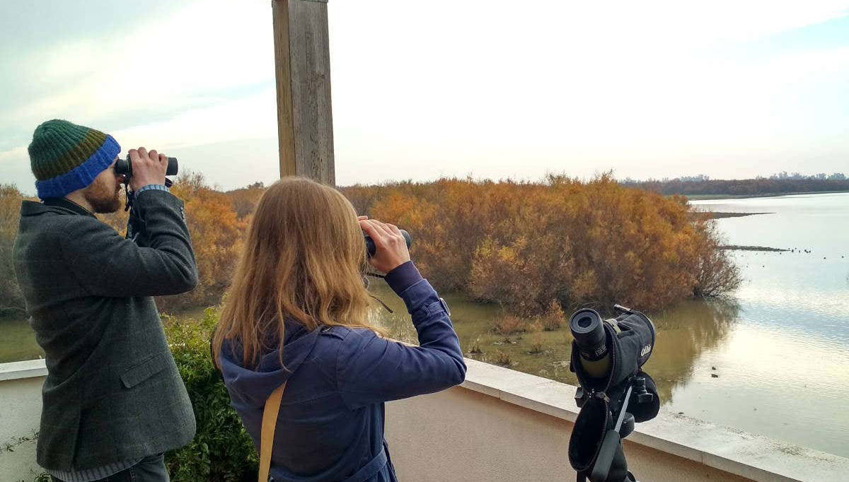 Doñana Day Trip - Foto 1