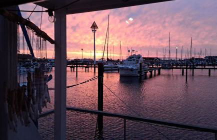 Hausboot Yara am Steg 1D - Foto 15