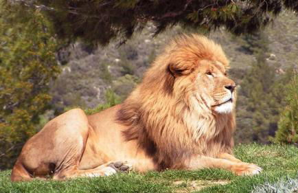 La Galinette Family Loft - Foto 21