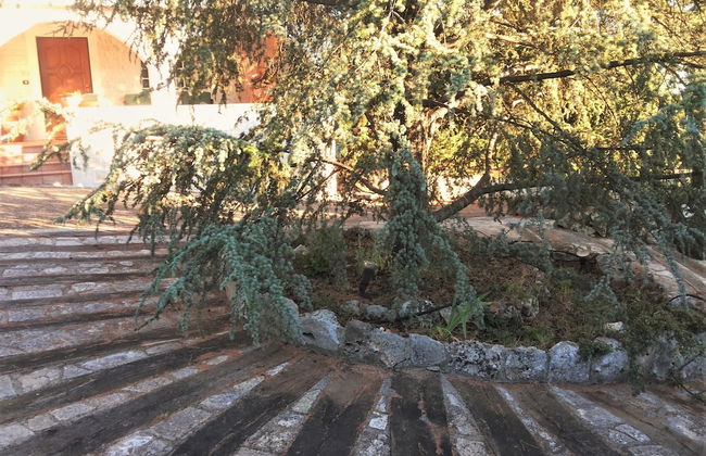 Dépendance in Villa Karmel - Photo 10