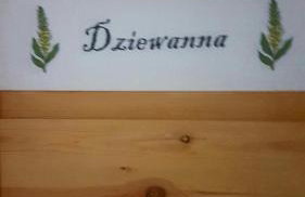 Dziewanna - Foto 31