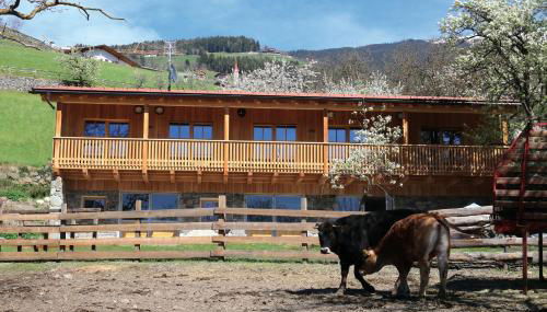 NEUE Ferienwohnungen auf dem Gebreitnerhof, Urlaub auf dem Bauernhof - Foto 3, Garden, Garden view