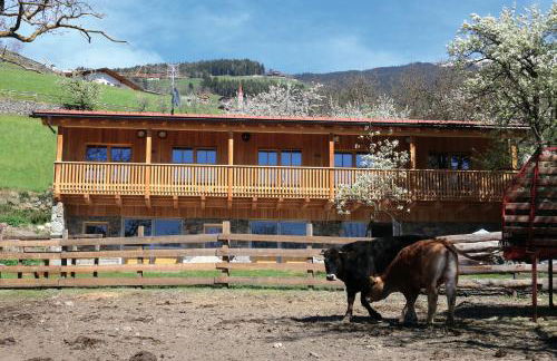 NEUE Ferienwohnungen auf dem Gebreitnerhof, Urlaub auf dem Bauernhof - Photo 3