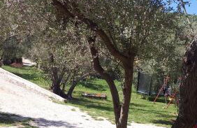 Apartments Nina - Photo 66