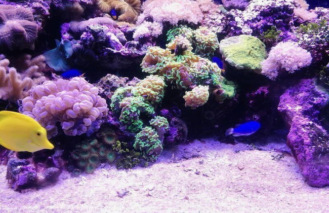 Casa Gianni Cala Gonone Mare - Photo 13