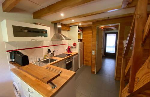 LE PASSE-MONTAGNE Bel appartement avec terrasse dans vieille ferme de montagne rénovée - Foto 5