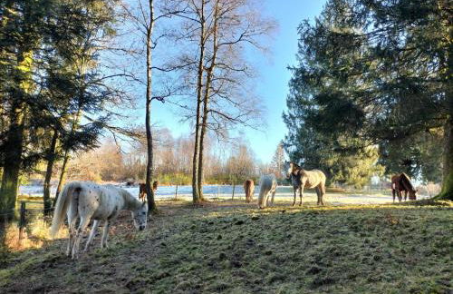 Gite les Baudy - group for 20 people - Foto 42