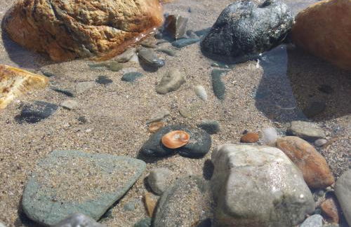 Apartamentos A Palleira - Foto 54