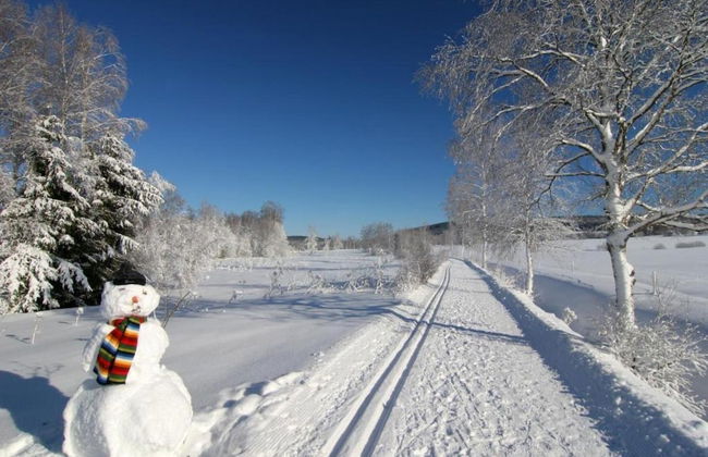 Ferienhaus mit Schwimmbad in Jagersgrun - Foto 39
