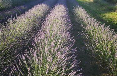 Alloggio Turistico Gasparrini - Foto 30