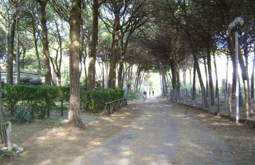 Holiday home in Eraclea Mare 25698 - Foto 23